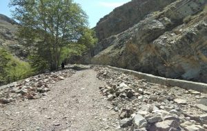 پدیده کوه خواری و نابودی منابع طبیعی توسط سوداگران در منطقه کندراب جاده چالوس همچنان ادامه دارد!!!!
