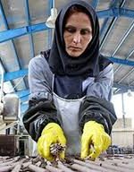 کارگران زن، یک کار و چندین مصیبت