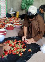 اتباع شاغل در صنوف حساس عرضه کننده کالاهای سلامت محور هر چه سریعتر تعیین تکلیف شوند