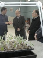 از ظرفیت‌های حوزه کشاورزی برای توسعه کشور به خوبی بهره‌مند نشده‌ایم