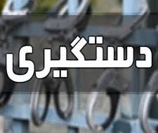 توقیف خودروی حامل لاشه کل وحشی و دستگیری متهمان در طالقان