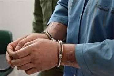 یک فرد دوتابعیتی همراه با سیم کارت و دلار از سوی اطلاعات سپاه در کرج دستگیر شد